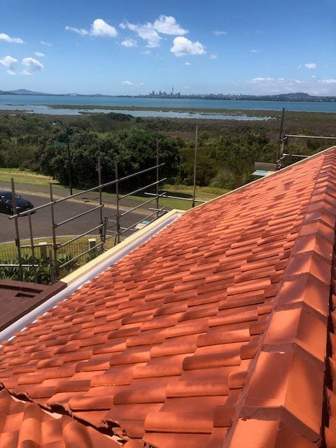 ProMain Tile Roof Maintenance ProMain Tile Roof Maintenance