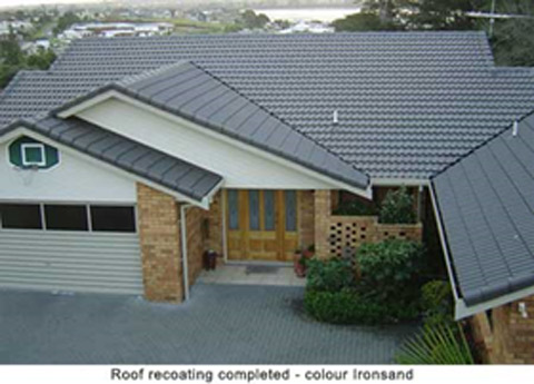 roof cleaned roof cleaned