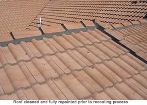 roof cleaned roof cleaned