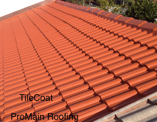 Tile Roof Painting Concrete and Clay Tile Roof Painting Concrete and Clay